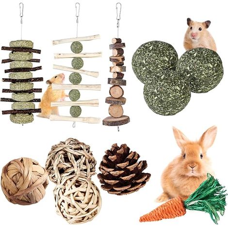 Chew Toys for Rabbit, Hamster, Chinchilla, Guinea Pig, Gerbil (1/5)