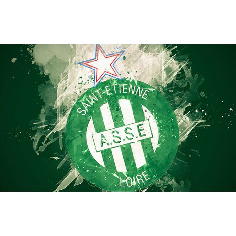 Papier peint panoramique Foot / Football - A.S.S.E Saint-Étienne - 130 cm x 81 cm (1/2)