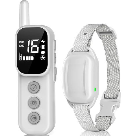 collier dressage chien avec télécommande — Collier d'entraînement étanche, réglable (1/4)