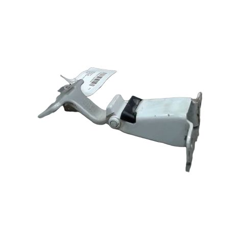 [PRODUIT D'OCCASION] Charniere Inf Porte Battante Arg RENAULT Kangoo ♻️ Ref Oe. 904115738r - Garantie à vie (1/2)