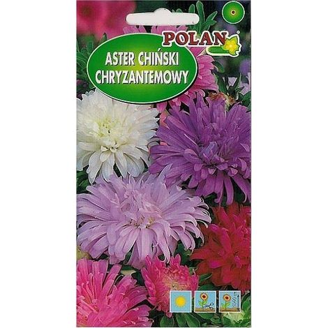 Platinet-Chrysanthemen-Asternsamen (Callistephus chinensis) 1 g