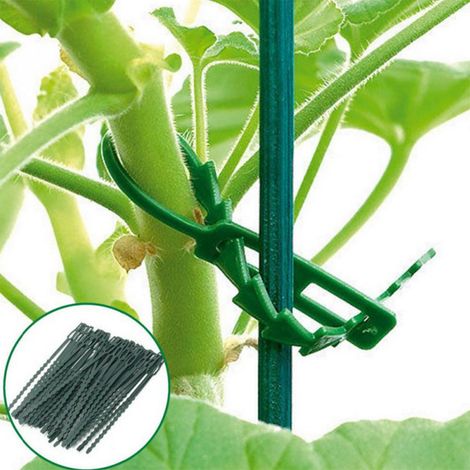 150 morceaux de ruban adhésif vert polyvalent pour jardin, abeille pour plantes (1/5)