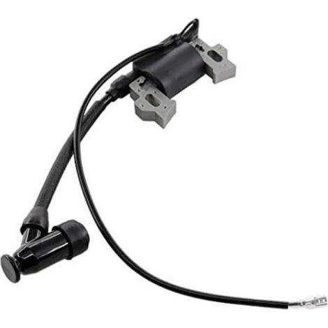 Bobine D Allumage - Bougie D Allumage - Pour Moteurs Honda GXV110 GXV120 GXV160 HR216 HRA216 HR2160 HR1950 HR2150 HRA2160 UM21 UM2160 - Lot De 2 (1/5)