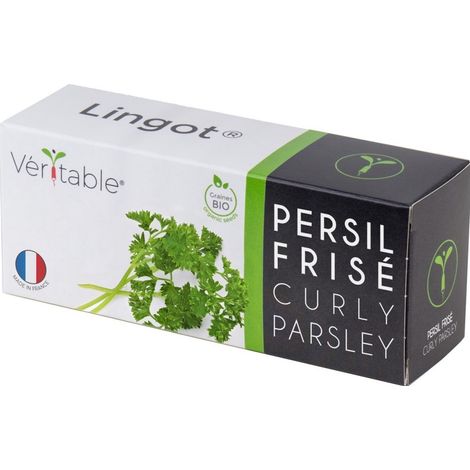 Lingot krause Petersilie veritable grüne biologische Samen