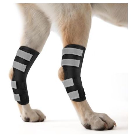 Genouillère pour Chien 2 Unités for Pattes Arrière avec Sangles Réfléchissantes, Attelle pour Jambe Offrant Un Soutien Articulaire pour la Guérison des Blessures et des Entorses,M (1/5)