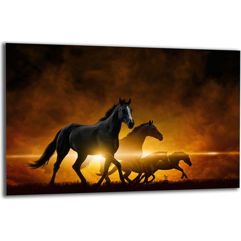 PLAQUE DE PROTECTION EN VERRE POUR POÊLE 80x52 CHEVAUX (1/5)