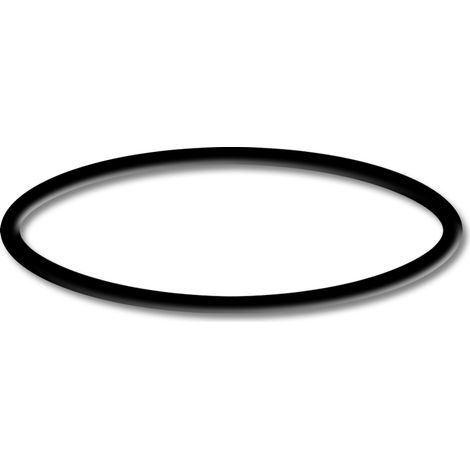 SunSun Ersatzteil für Druckteichfilter CPF-2500 O-Ring 5, effiziente Teichfilteranlage 6000 l/h, Teichdruckfilter mit UVC-Lampe