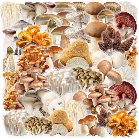 Lot de 100 autocollants nature 8 thèmes Autocollants PET Décoration imperméable pour ordinateur portable, valise, gourde (style champignons cartoon) Champignons cartoon 2 se (1/5)