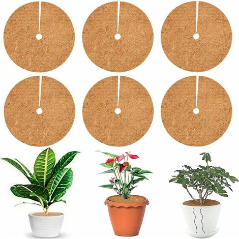 Tapis De Coco Plantes,Disque De Paillage Coco Disques,Tapis De Protection en Paillis pour Plantes, Noix De Coco Disque En Fibre De Coco,Protection Pour Plantes En Pot Plantes Protection Tapis,,6 pcs (1/5)