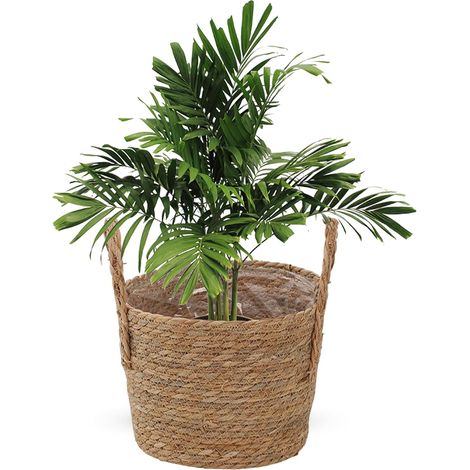Pflanzkorb Strohblumentopf mit Griff Pflanzkörbe für den
