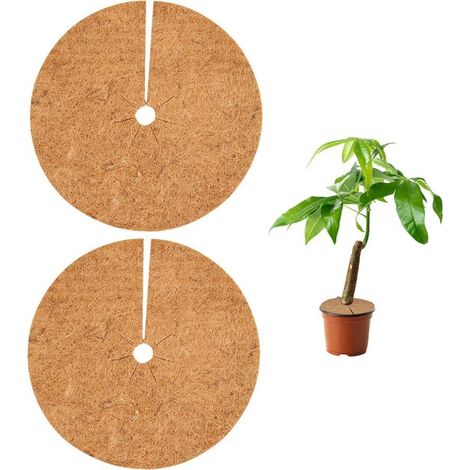 Paquete de 2 discos de fibra de coco de 30x30 cm para protección de plantas en invierno (1/5)
