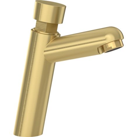 Grifo de lavabo oro mate agua fría con pulsador Navia de Valaz (1/3)