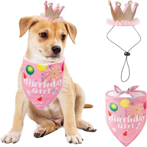 Filiyano-Ensemble bandana et chapeau pour anniversaire de chien, accessoires de fête d'anniversaire pour chiots et chiens de petite et moyenne taille (1/5)