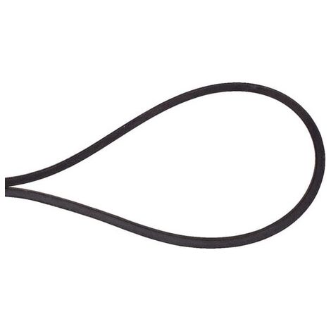Cinghia lama AYP - ROPER 180260