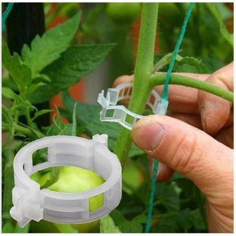 Clips de jardin - Support de plantes - En plastique - Pour plantes grimpantes sur treillis ou ficelle - 100 Pièces (1/5)