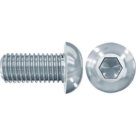 Vis à tête bombée Fischer LKS M12x25 A2 (1/3)