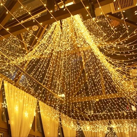 100M 1000 LED Lichterketten Karneval Hochzeit Outdoor Indoor Gartenbeleuchtung (Warmweiß) (1/5)