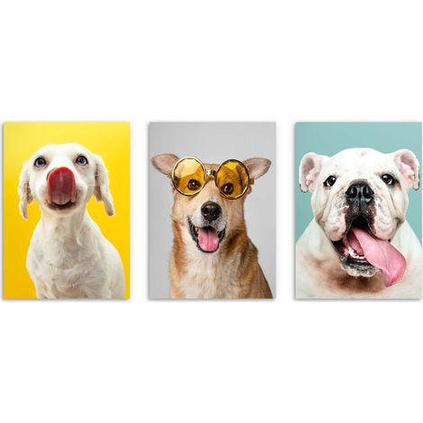 Kinder-Jugendposter Hunde Bilder für Kinder Teenager Farbe 50x70