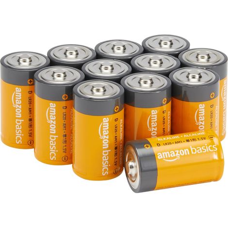 Lot de 12 Piles alcalines Type D Multi-Usage, 1,5 V, durée de Conservation de 5 Ans (1/5)