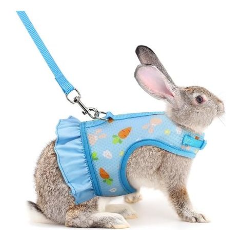 Harnais Réglable Et Laisse pour Lapins Gilet Respirant en Maille Douce pour Petits Animaux Chats Cochons d'Inde Sécurité EtEconfort Idéal pour Lapins Nains (Bleu) (1/5)