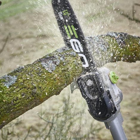 EGO PSX2500 25cm Hochentasteraufsatz für Telestopstange (1/4)