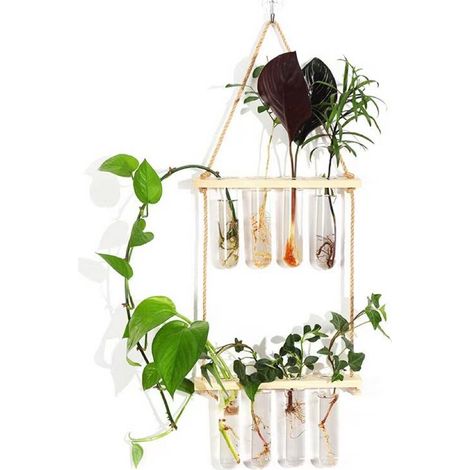 Tubes propagation plantes terrarium mural - Support bois 2 niveaux, décoration maison/bureau