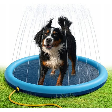 Aga Tappetino con fontana per cani (1/3)