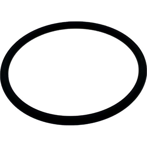 O-ring per elettrodo a cella di clorazione salina Zodiac Ei ed Ei2 Expert (1/2)