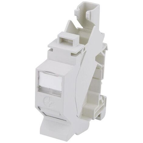 Telegärtner 100023003 Prise réseau profilé CAT 6a gris clair R68299 (1/5)