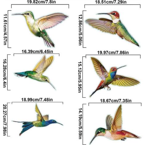 6 Pièces Autocollants Colibri, Accroche de Fenêtre d'Oiseau, Stickers Anti-Collision pour Vitres, Simplicité Modèle Colibri PVC Sticker Mural Oiseaux pour Fenêtre, Salon, Bureau (6 Style) (1/4)