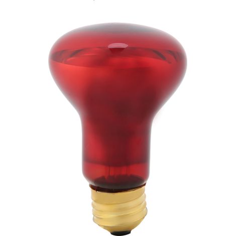 Ampoule chauffante infrarouge E27 pour reptiles et animaux de compagnie, 110 V, 75 W (1/5)