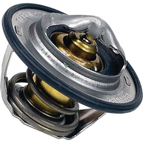 Termostato VAPORMATIC VPE3453
