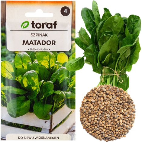 Matador Spinat-Gemüsesamen, dunkelgrün, Frühling/Herbst, W1236, 5 g (1/5)
