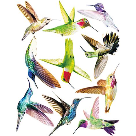 Autocollants anti-collision pour vitres en PVC, protection anti-choc pour oiseaux, stickers pour fenêtres de maison et bureau, lot de pièces pour éviter les collisions d'oiseaux sur vitres transparent (1/5)