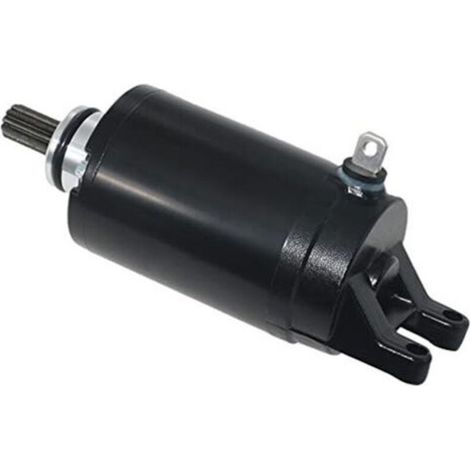 Moteur de Démarreur Triumph Tiger 800 & 675 - Pièces de Rechange T1311112, T1314455, T1310060 - Compatible avec les Moteurs Triple 800cc et 675cc (1/5)