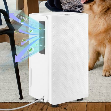 Randaco Déshumidificateur d'air Portable 16L/Jour, Minuterie 24h Pour Pièce de 20 à 25㎡ (1/5)