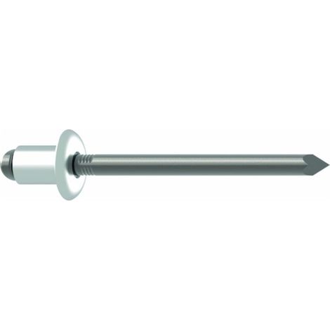 Rivets aveugles Gesipa A2 acier inox 5 x 40 100 pièces (1/5)