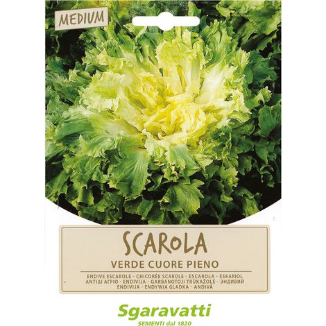 SEMI PER ORTAGGI E VEGETALI scarola verde cuore pieno