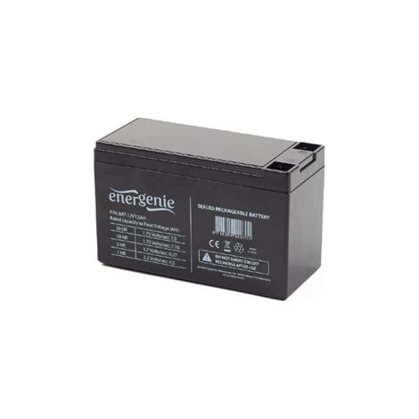 Batterie au plomb 12V 7.5 AH pour onduleur (1/2)