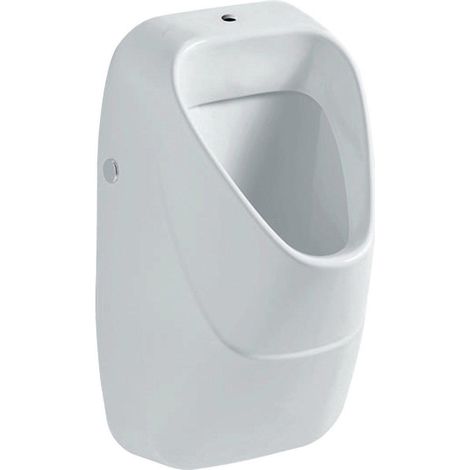 Geberit 300 urinoir avec grille céramique et arrivée d'eau par le dessus 34x34cm blanc (1/2)