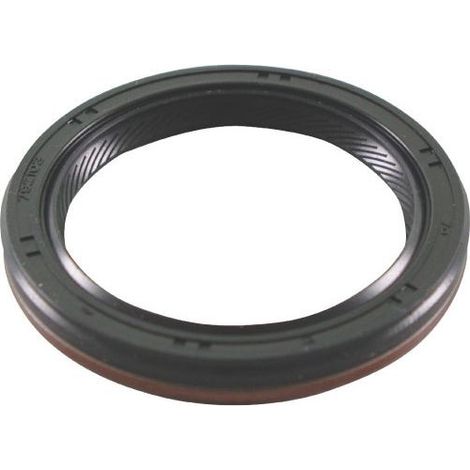 Retén de aceite inferior del motor Briggs y Stratton - 795387