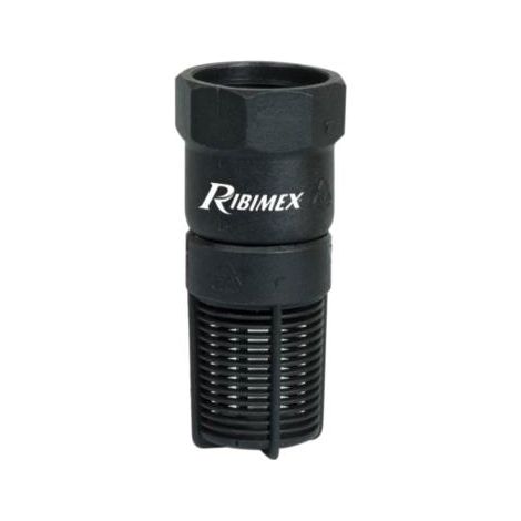 Ribiland – Crépine femelle plastique 1' – Filetage plomberie – Accessoire pour pompe à eau – Compatible tuyaux 26x34mm