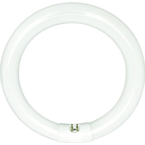 Sylvania - fc32w/840 coolwhite fluoreszierende circline - 01964 - 5410288019642