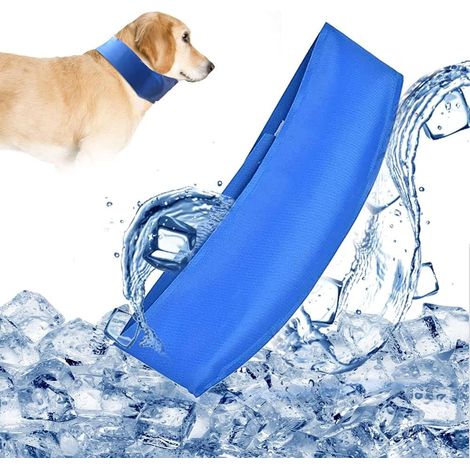 Collier Rafraîchissant pour Chien, Bandana Rafraîchissant pour Chien, Écharpe Rafraîchissante pour Chien, Collier Rafraîchissant pour Chien, Garde les Animaux au Frais, Ajustable, pour Chien et Chat (1/3)