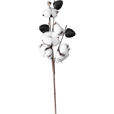 Fleurs artificielles en tiges de coton séché naturel Loviver pour bricolage et jardinage-5 Head (1/5)