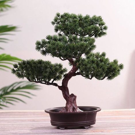 Ecleanfy - Bonsaï Artificiel Décoratif Pin Simulé - Mini Plante en Pot - Pour Bureau/Maison Intérieur et Extérieur - Sans Entretien (1/5)