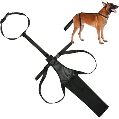 Protection de queue de chien réglable en tissu Oxford noir pour soigner les blessures et la guérison (1/4)