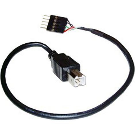 BeMatik - Câble USB 2.0 5pin BM 30cm (5P-M/BM)