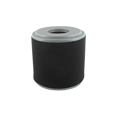 Filtre à Air Type Cyclone Adaptable Honda Pour Modèles Gx160, Gx200. Remplace Origine 17210-z0v-781.