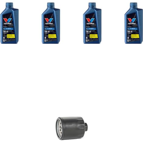 Kit filtro olio e 4L compatibile con Seat Ibiza II 1.4 16v 74kw Dal 1999 (1/5)